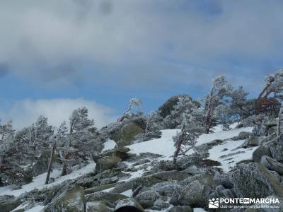 Siete Picos - Parque Nacional Cumbres del Guadarrama;rutas navacerrada viajes en noviembre